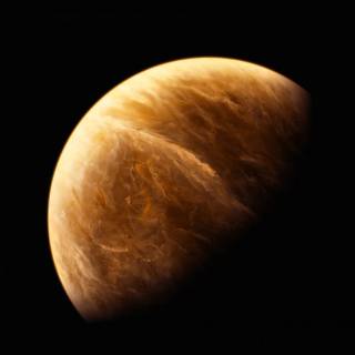 Venus