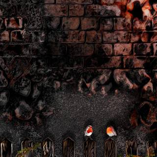 iphone 15 Pro Max Wallpaper Birds in sunset