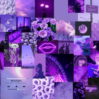 purple aesthetic+cute+core wallpaper