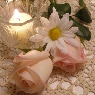 A heart that loves, is always young