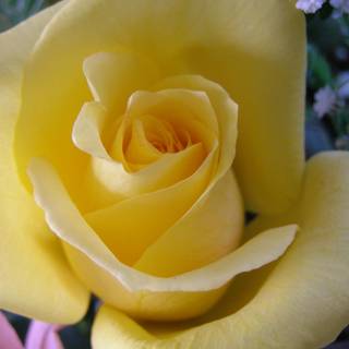 For every love there is a heart somewhere to receive it