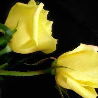  all things, hopes all things, endures all things.jpg