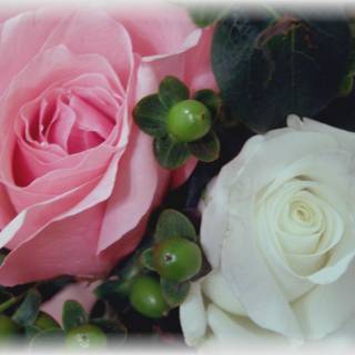 Love is an endless act of forgiveness, a tender look which becomes a habit