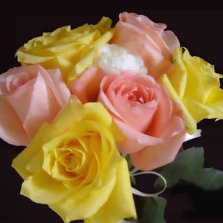 Love is a rainbow between two hearts