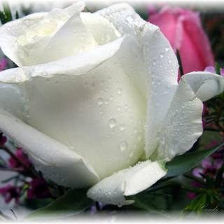 Love is like the sun coming out of the clouds and warming your soul.