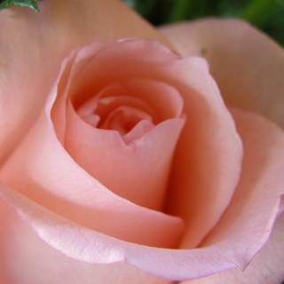 Love lets us see ordinary things in an extraordinary way