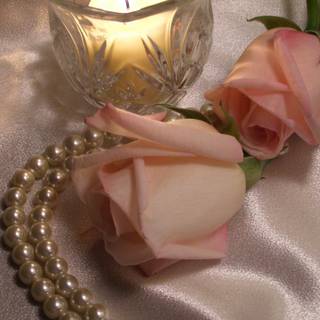 Love that is true, never grows old.