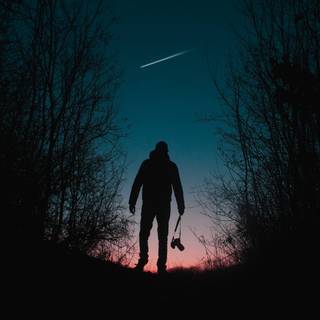 Man wondering in forest wallpaper