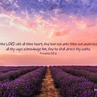 Proverbs 3:5-6 Wallpaper