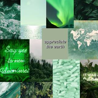 Green Aesthetic Wallpaper