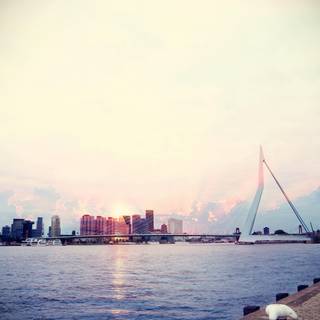 Rotterdam, Netherlands