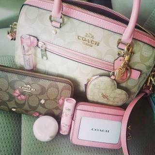 Coach Bags
