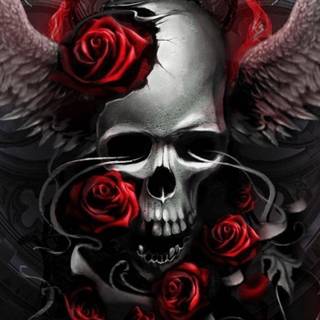 skull and roses