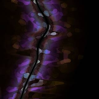 Samsung S24 Ultra Wallpaper Fusion 203