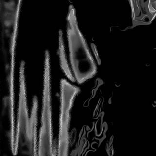 Samsung S24 Ultra Wallpaper Predator