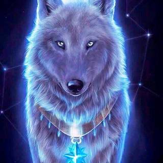 Wolf spirit