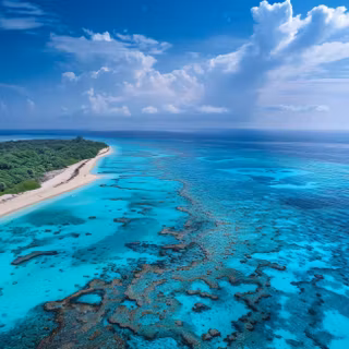 The Edge of Paradise