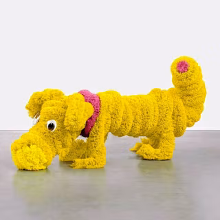 Yellow Towel Dog