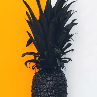 The Pineapple Co. 