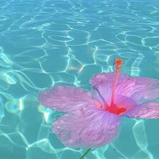 Mine repost with credit!