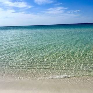 Mine repost with credit!