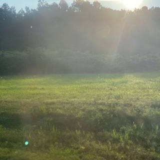 Mine repost with credit!