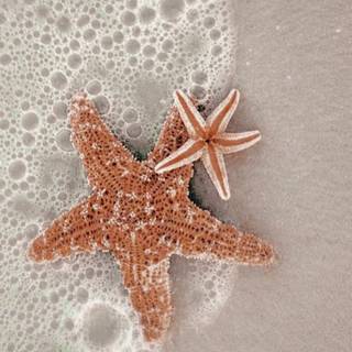 Mine repost with credit!