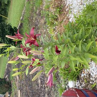 Mine repost with credit!