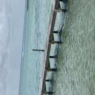 Mine repost with credit!