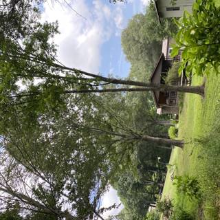 Mine repost with credit!