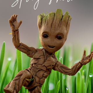 Groot