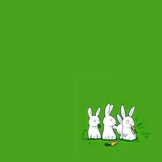 Funny Bunny