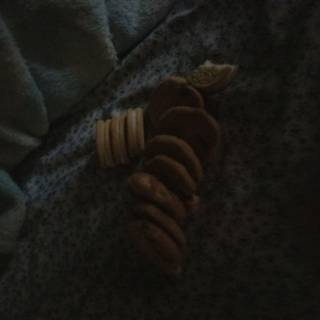 Oh my gosh so many cookiezz