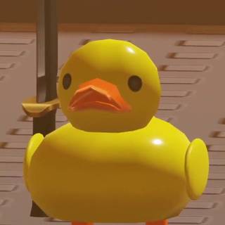 duck