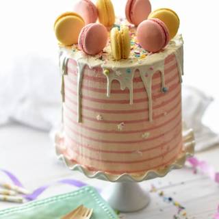 Macaroon Cake