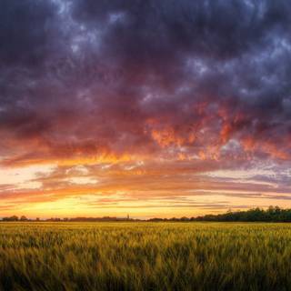 Evening glow on the grassland