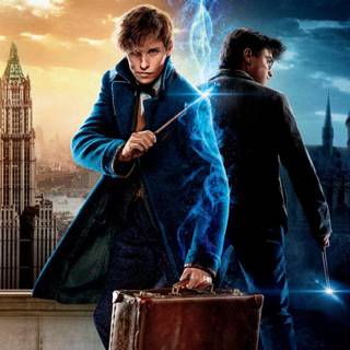 Harry Potter X Newt Scamander I