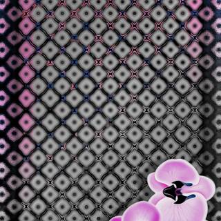 Samsung S24 Ultra Wallpaper Fusion No.263 A