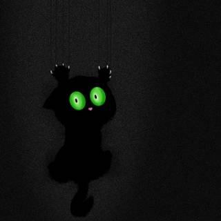 iphone 15 Pro Max Wallpaper Bad Kitty