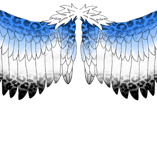 (closed) wings i made