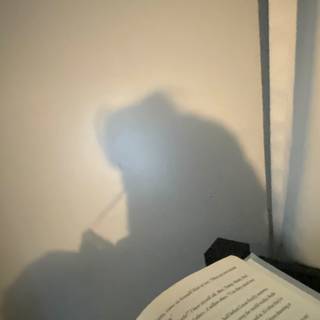 reading shadow pic :)