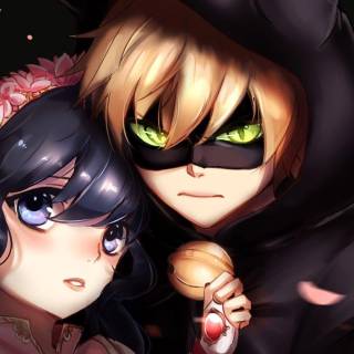 ladybug and catnoir