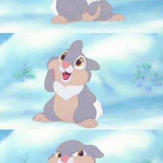 thumper