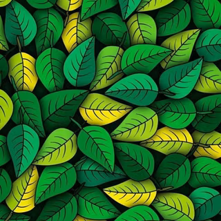 Yellow and green leaves