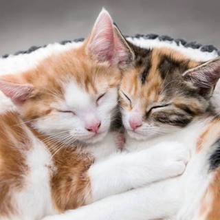 me and my cute gf☺