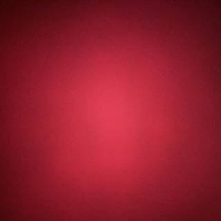 not every girl is worth fighting for…