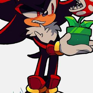 recent obsession with shadow