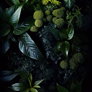 Iphone 15 dynamic island wallpaper