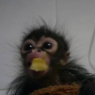 NAH BRO THIS IS ME FRFR 