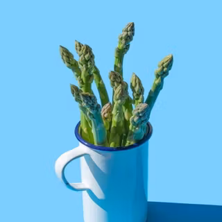 Asparagus in a cup